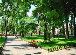 Воробьев запретил новостройку в парке в Видном